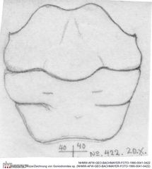 Historische Skizze/Zeichnung von Goniodromites sp. (NHMW-AFW-GEO-BACHMAYER-FOTO-1990-0041-0422)